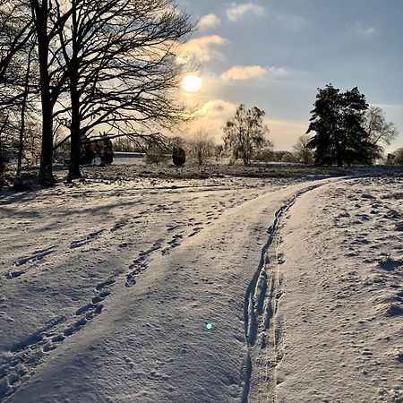 Ferienwohnung Heide View Bispingen Eksteriør billede