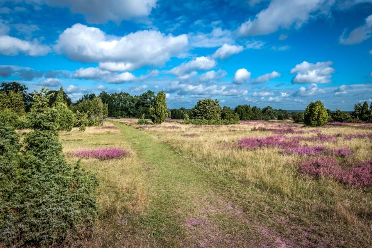 Ferienwohnung Heide View Bispingen Eksteriør billede