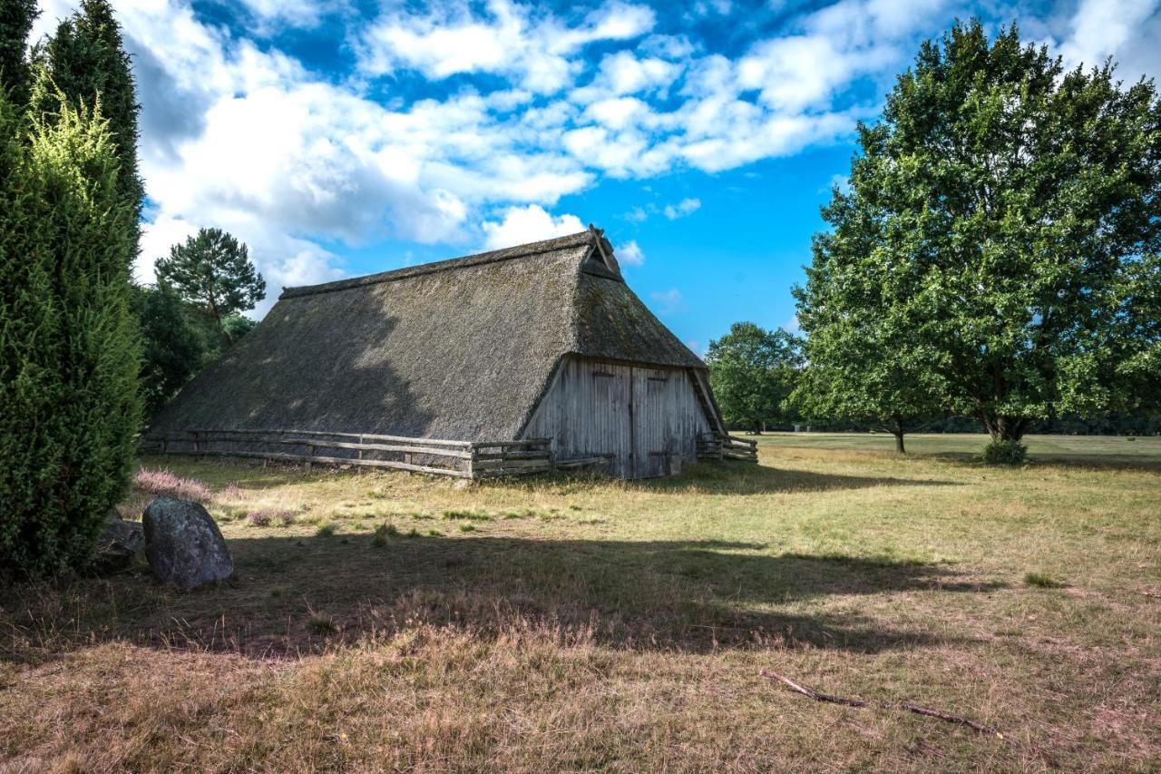 Ferienwohnung Heide View Bispingen Eksteriør billede