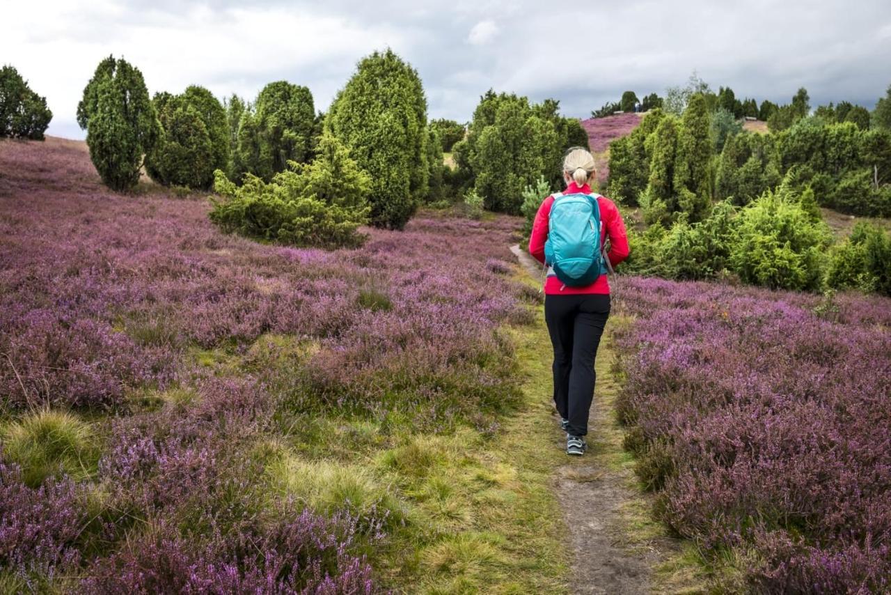 Ferienwohnung Heide View Bispingen Eksteriør billede