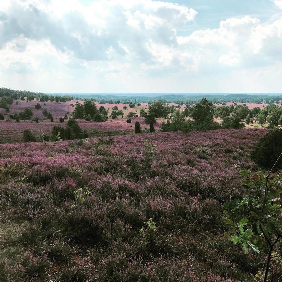 Ferienwohnung Heide View Bispingen Eksteriør billede