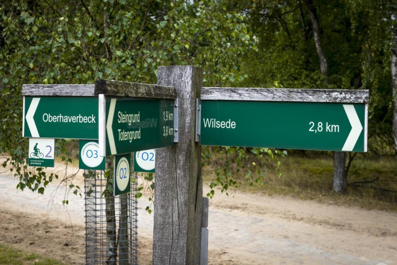 Ferienwohnung Heide View Bispingen Eksteriør billede