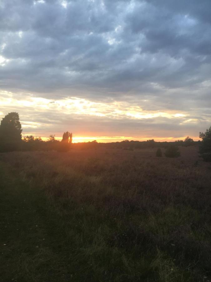 Ferienwohnung Heide View Bispingen Eksteriør billede