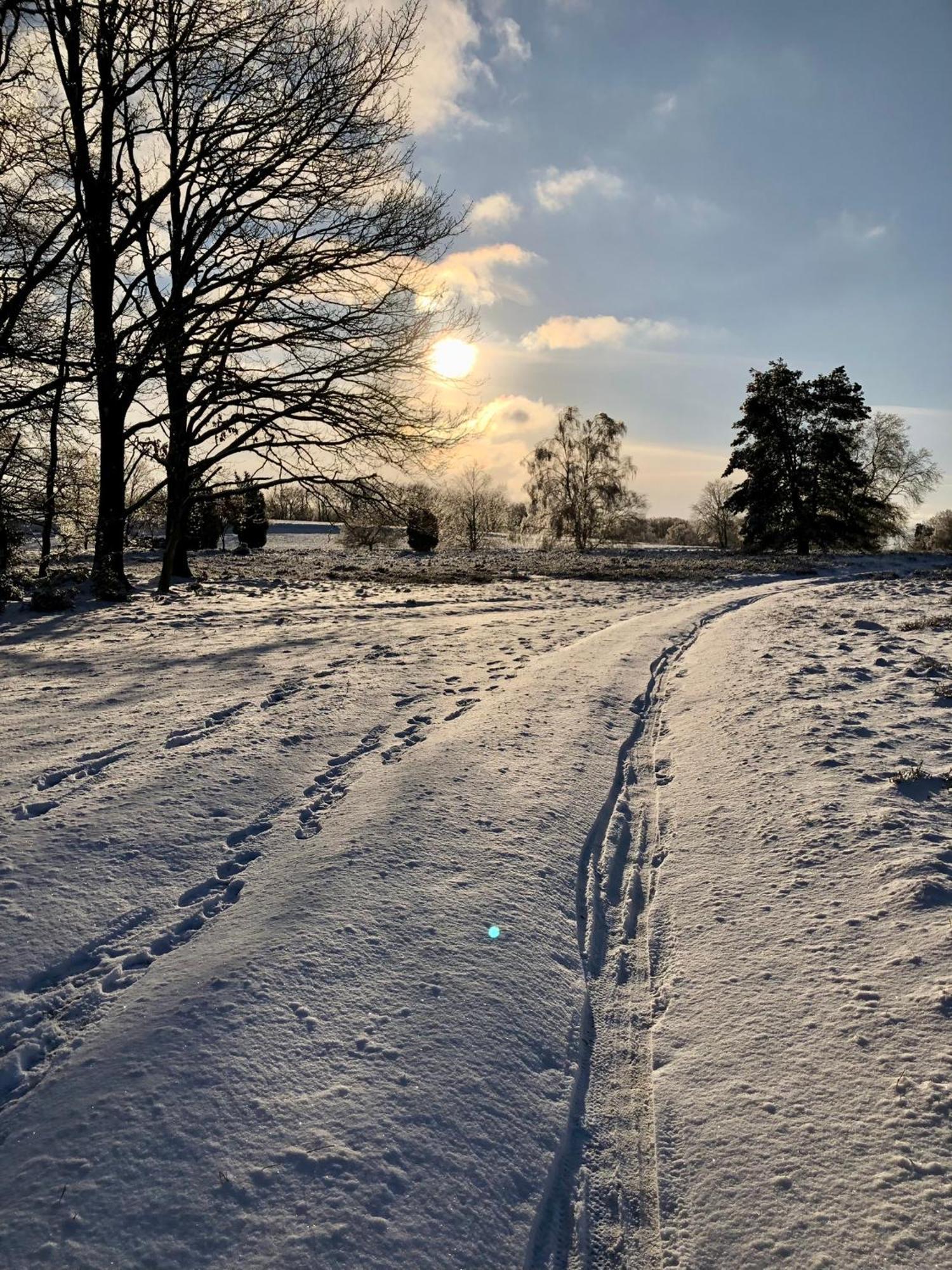 Ferienwohnung Heide View Bispingen Eksteriør billede