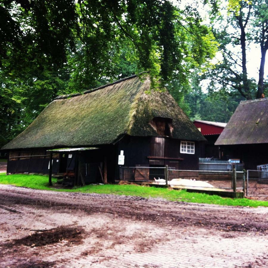 Ferienwohnung Heide View Bispingen Eksteriør billede